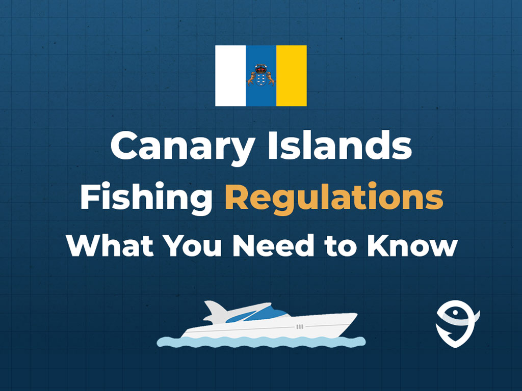 An infographic that says "Canary Islands Fishing Regulations All you need to know" on a dark blue background, with the Canary Islands flag above and the image of a boat below the text.