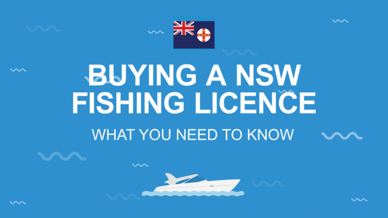 NSW Fishing Licence: The Complete Guide for 2025