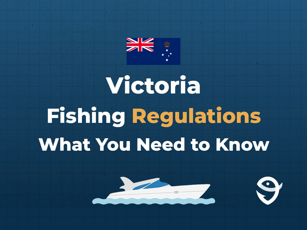 An infographic featuring the flag of Victoria that says "Victoria Fishing Regulations What You Need to Know" against a dark blue background.