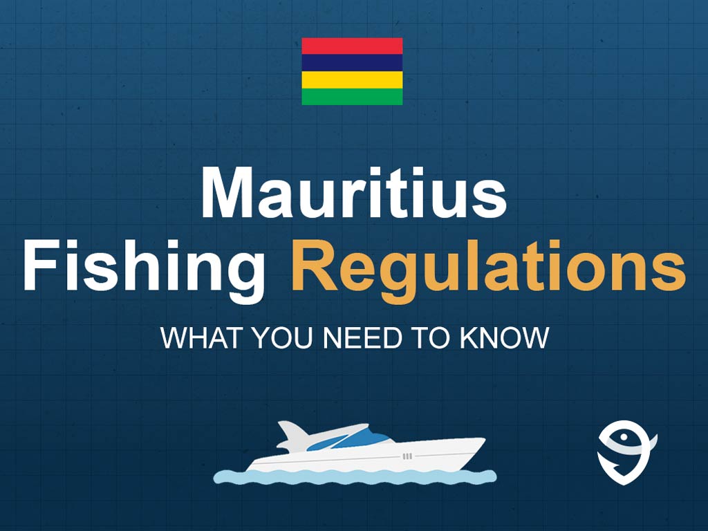 An infographic featuring the flag of Mauritius and text saying "Mauritius Fishing Regulations, What You Need to Know" above a vector of a boat against a blue background
