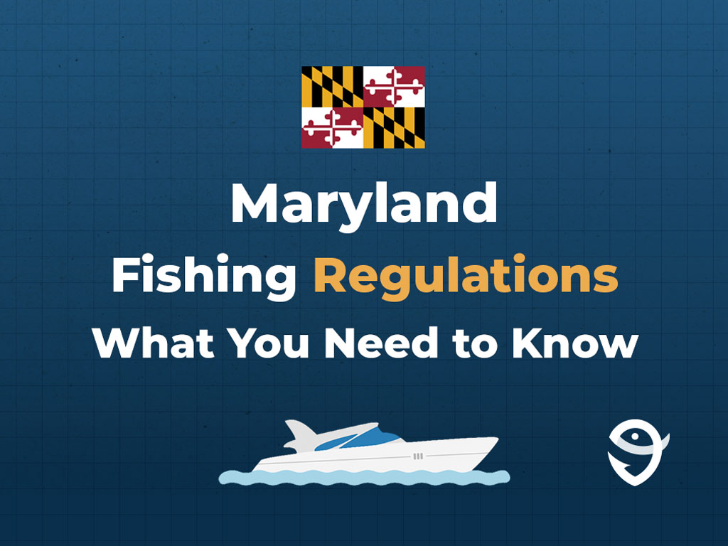 An infographic featuring the flag of Maryland with text that says "Maryland Fishing Regulations" with "What you need to know" written right below it.