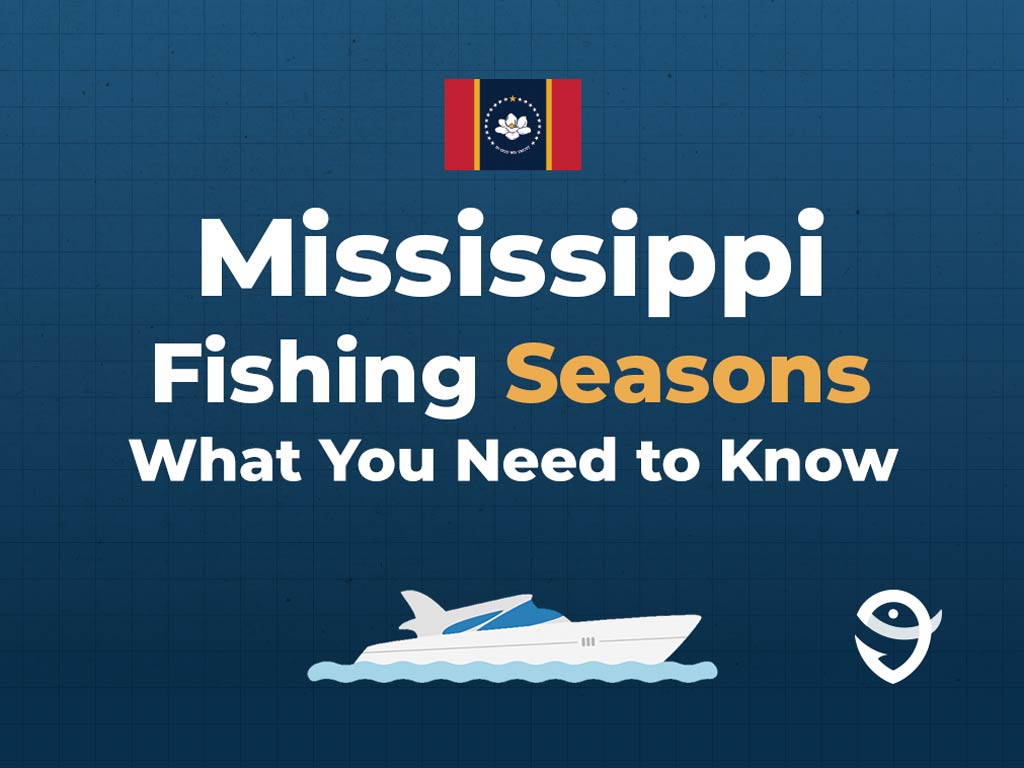 An infographic featuring the state flag of Mississippi along with text that says "Mississippi fishing seasons, what you need to know" against a dark blue background