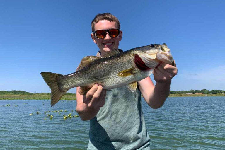 How to Go Fly Fishing for Bass The Complete Guide