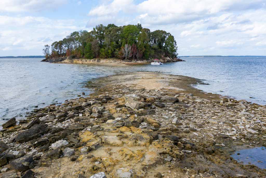 The view from the ground of the Sam Rayburn Reservoir