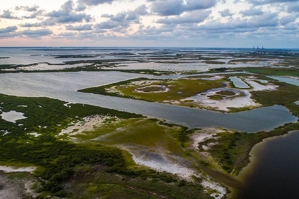 An aerial view of the inshore flats in Laguna Madre's wetlands
