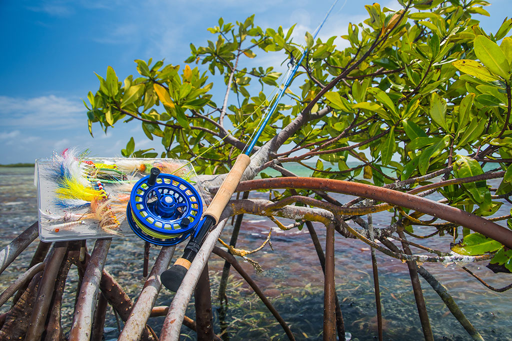 Fly fishing gear rests upon a branch against a background of inshore waters, including a rod and reel and flies
