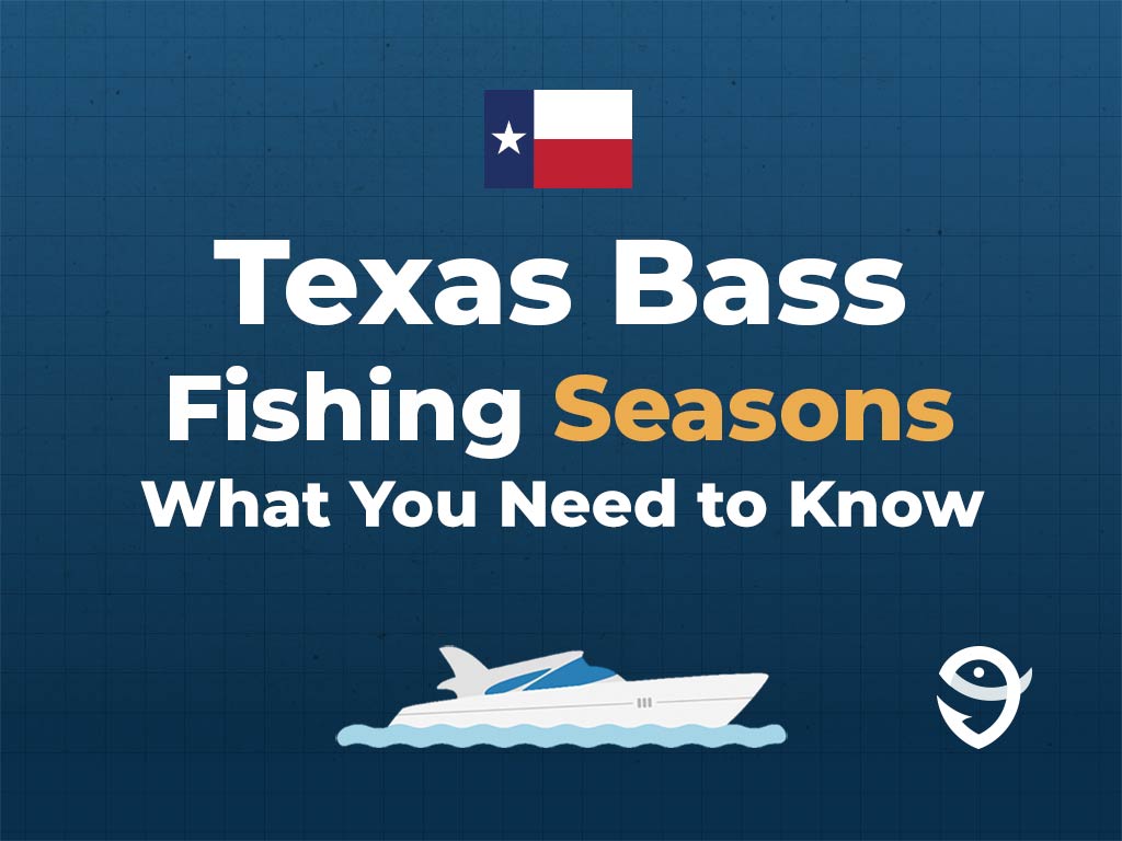 An infographic featuring the state flag of Texas above text saying "Texas Bass Fishing Seasons, What You Need to Know" above a vector of a boat and the FishingBooker logo against a blue background