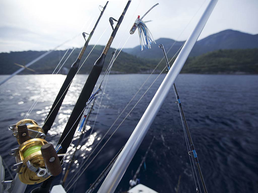 Two rods troll behind a fishing boat in the sea, with mountains in the background