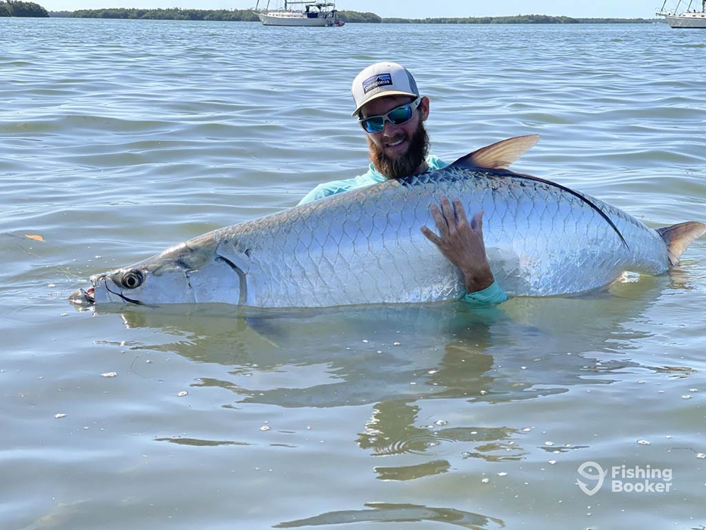 A man standing in water up to his chest in Sanibel, FL, on a summer's day and struggling to hold an enormous Tarpon