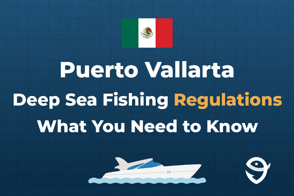 An infographic showing text "deep sea fishing in Puerto Vallarta what you need to know" on a dark blue background with Mexican flag and boat vector