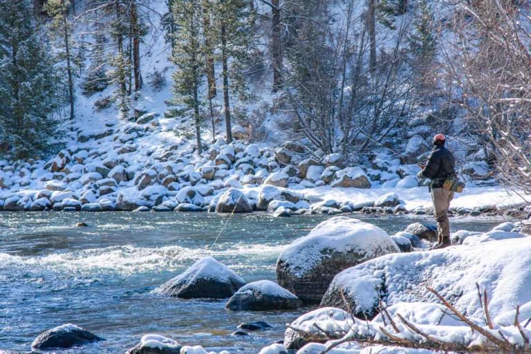 FishingBooker 8 Best Winter Fly Fishing Spots in Colorado