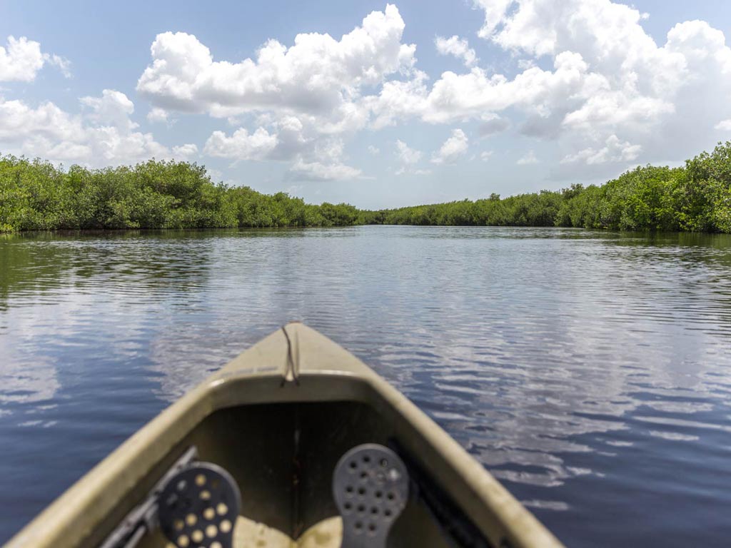 A kayak overlooking the wetlands in the Everglades, Florida