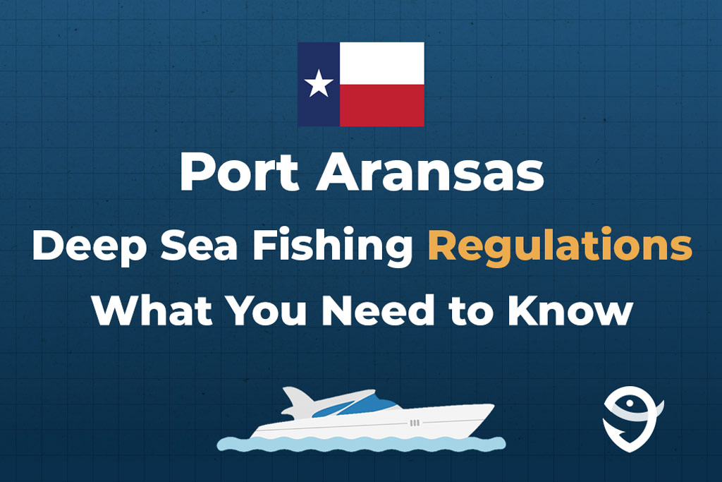 An infographic image that says "Deep Sea Fishing in Port Aransas" and "What You Need to Know" against a dark blue background, with the flag of Texas above the text