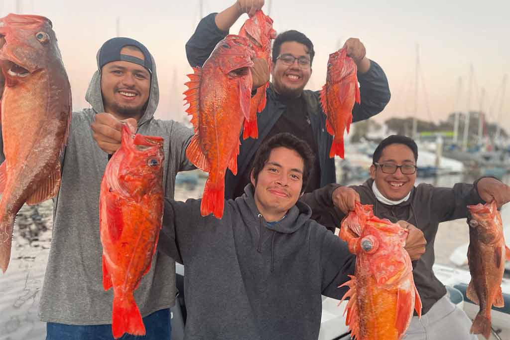 Four fishermen holding six Vermilion Rockfish, two each, San Diego, California