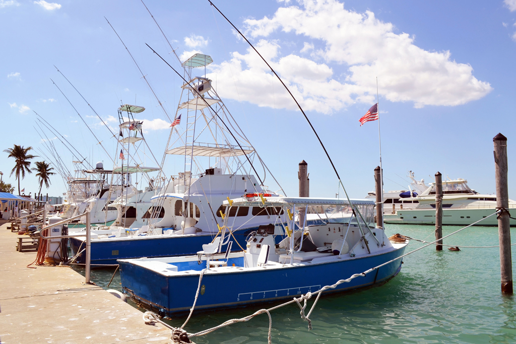 A group of charter boats docked at a marina