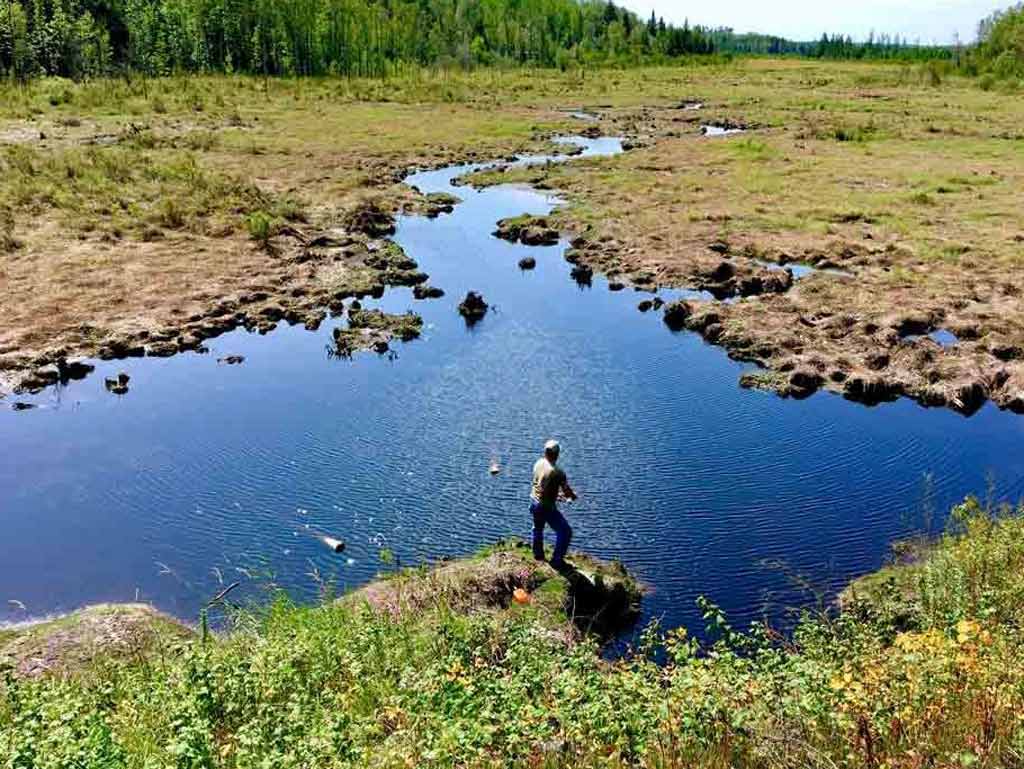 An aerial shot of an angler in Minnesota fishing on a lake, with grass fields and forests visible in the background