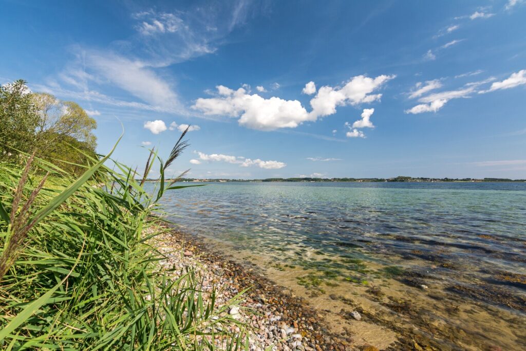 Blick vom Ufer &uuml;ber das klare Wasser der Flensburger F&ouml;rde.