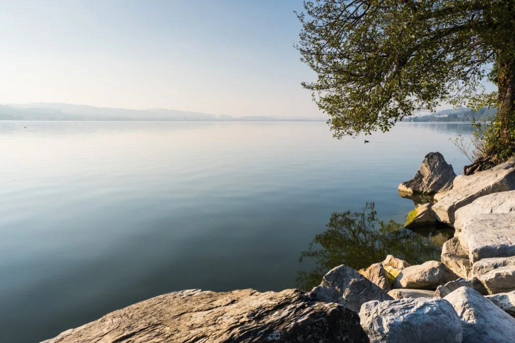 Ein ruhiger See mit klarem Wasser, gro&szlig;en Felsen im Vordergrund und einem Baum, der die Uferlinie &uuml;berragt - das ist die perfekte Kulisse f&uuml;r Angeln im deutschen Raum bei klarem Himmel. Vielleicht sehen Sie Angler, die in diesem Gew&auml;sser auf Barsch, Hecht, Zander oder Karpfen angeln wollen. Bei der guten Sicht und dem Schutz, den die Felsen und &Auml;ste bieten, k&ouml;nnten Fische wie Forellen oder Aale in Ufern&auml;he lauern. Wenn Sie geduldig sind und leichtes Ger&auml;t mit Naturk&ouml;dern verwenden, werden Sie wahrscheinlich einen entspannten Angeltag verbringen und dabei die wundersch&ouml;ne Landschaft genie&szlig;en.