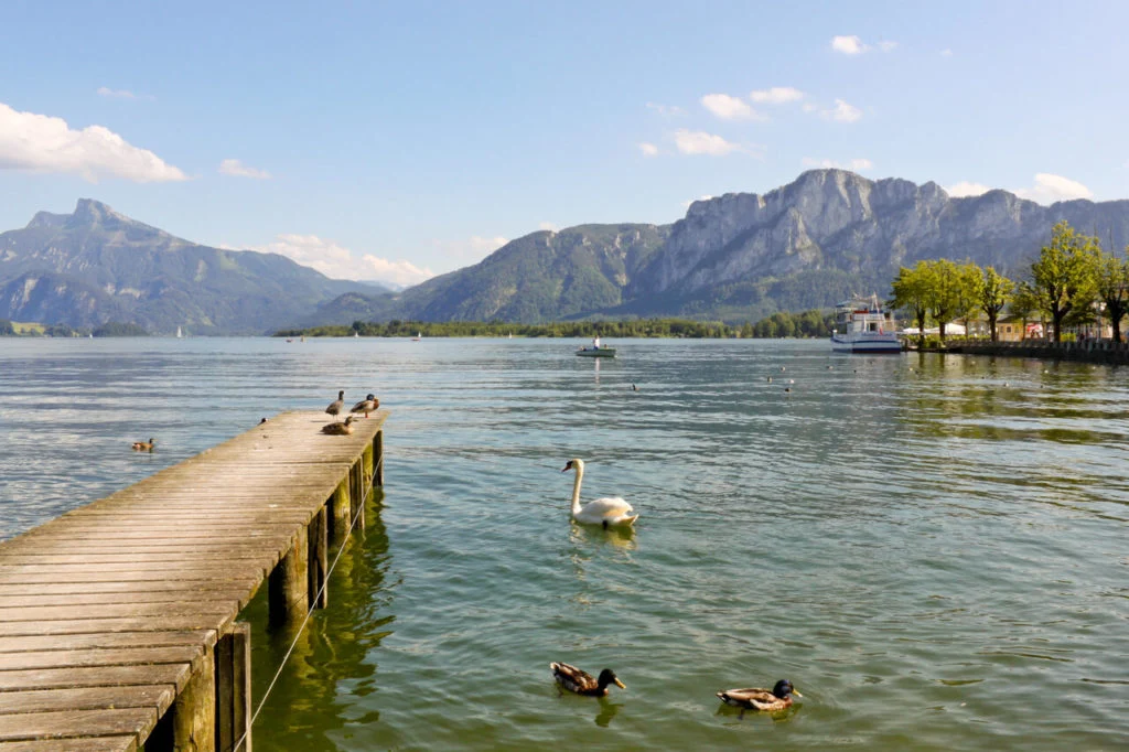Ein ruhiger See in der deutschen Region ist ein perfekter Ort f&uuml;r Angler, die auf Fischarten wie PIKE, PERCH oder CARP hoffen. Stellen Sie sich eine friedliche Szene vor: Enten und ein Schwan gleiten an einem Holzsteg vorbei, der sich &uuml;ber das ruhige Wasser erstreckt. Der See ist umgeben von hoch aufragenden Bergen und &uuml;ppig gr&uuml;nen B&auml;umen unter einem strahlend blauen Himmel - ideale Bedingungen f&uuml;r Entspannung und Angeln. Wenn Sie fr&uuml;hmorgens oder vor Sonnenuntergang hinausfahren, haben Sie wahrscheinlich das meiste Gl&uuml;ck beim Angeln von KAPERLAN ROACHES oder ZANDER. Vergessen Sie nicht Ihren K&ouml;der und Ihre Geduld; an manchen Tagen fangen Sie vielleicht nur eine oder zwei FORELLEN, an anderen Tagen aber k&ouml;nnen Sie viel mehr fangen!