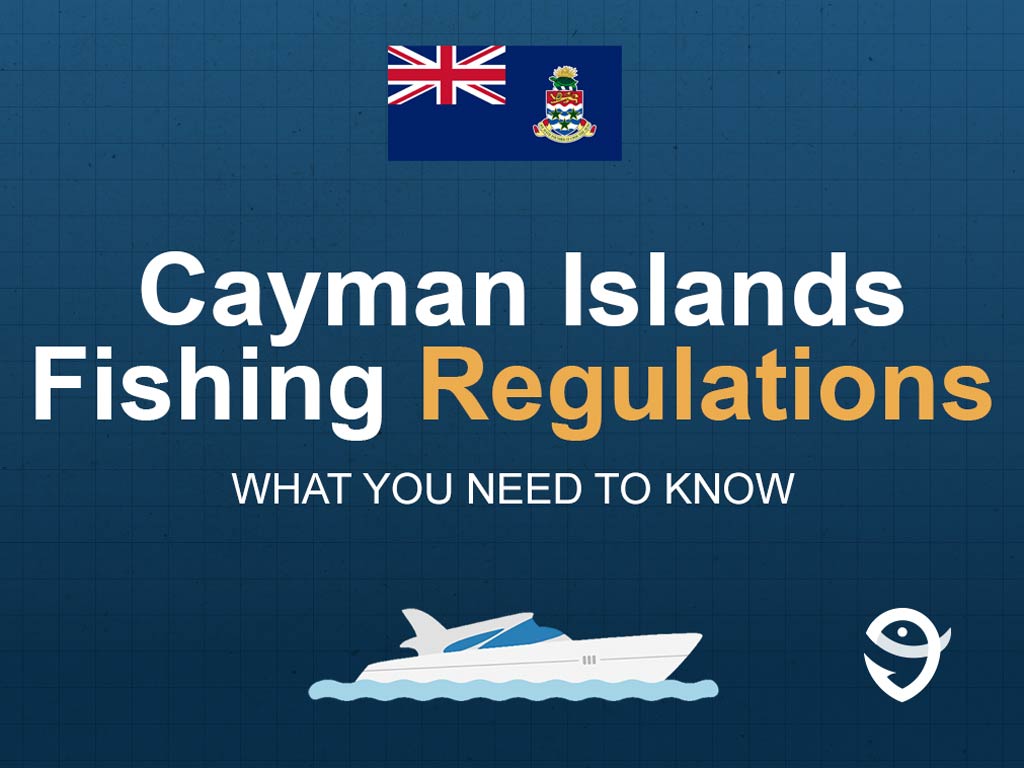 An infographic featuring the flag of the Cayman Islands and text saying "Cayman Islands Fishing Regulations, What You Need to Know" above a vector of a boat against a blue background
