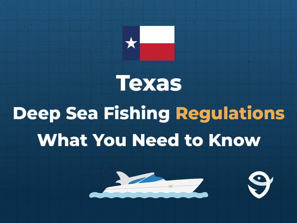 An infographic that says "Texas Deep Sea Fishing Regulations" and "What You Need to Know" against a dark blue background.