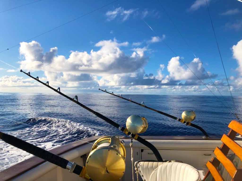 Fighting a Blue Marlin strapped into the fighting chair! - Picture of Kona  Sea Adventures, Island of Hawaii - Tripadvisor