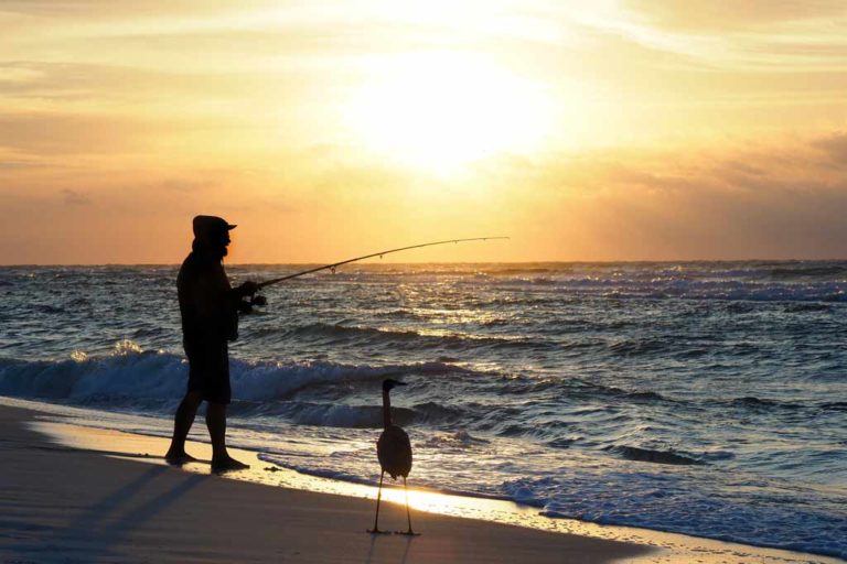How to Go Surf Fishing The Complete Guide