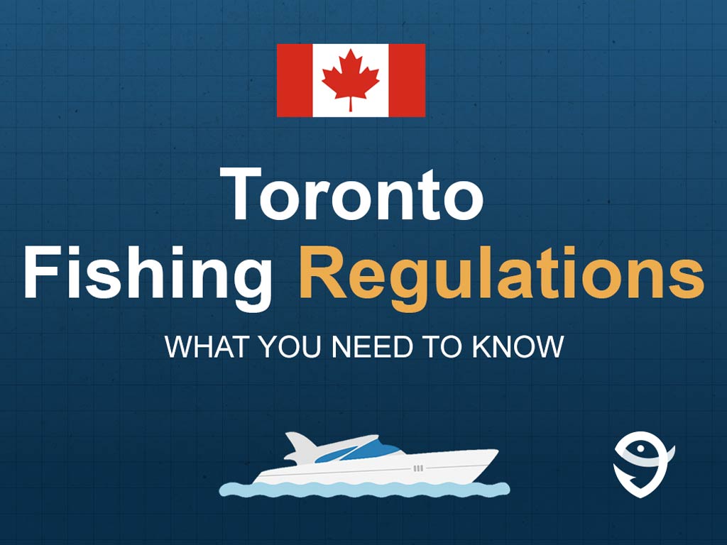 An infographic featuring the flag of Canada with text that says "Toronto Fishing Regulations" with "What you need to know" written right below it.