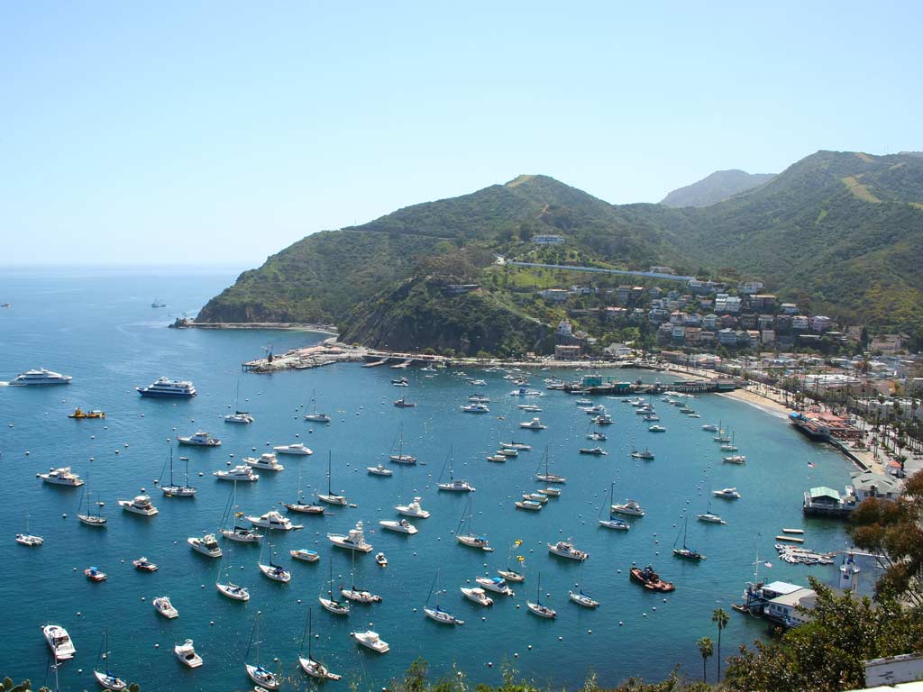 An aerial photo of the Avalon Bay on Catalina Island.