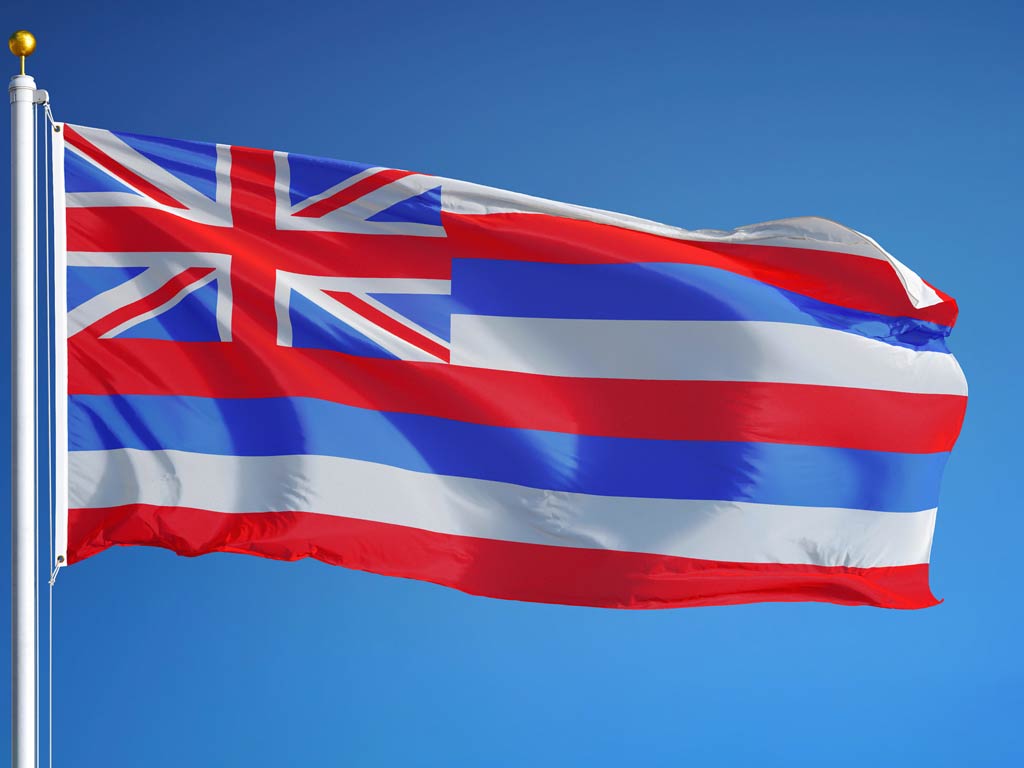 Hawaii state flag on a flag post waving against clear blue sky