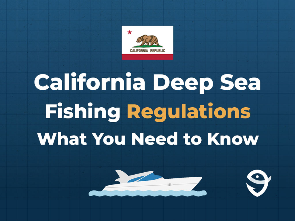 An infographic image that says "California Deep Sea Fishing Regulations" and "What You Need to Know" against a dark blue background.