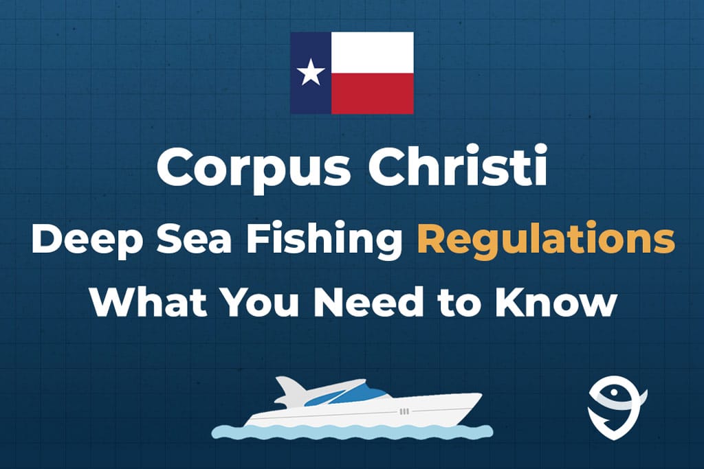 An infographic featuring the flag of Texas along with text that says "Corpus Christi Deep Sea Fishing Regulations What You Need to Know" against a dark blue background