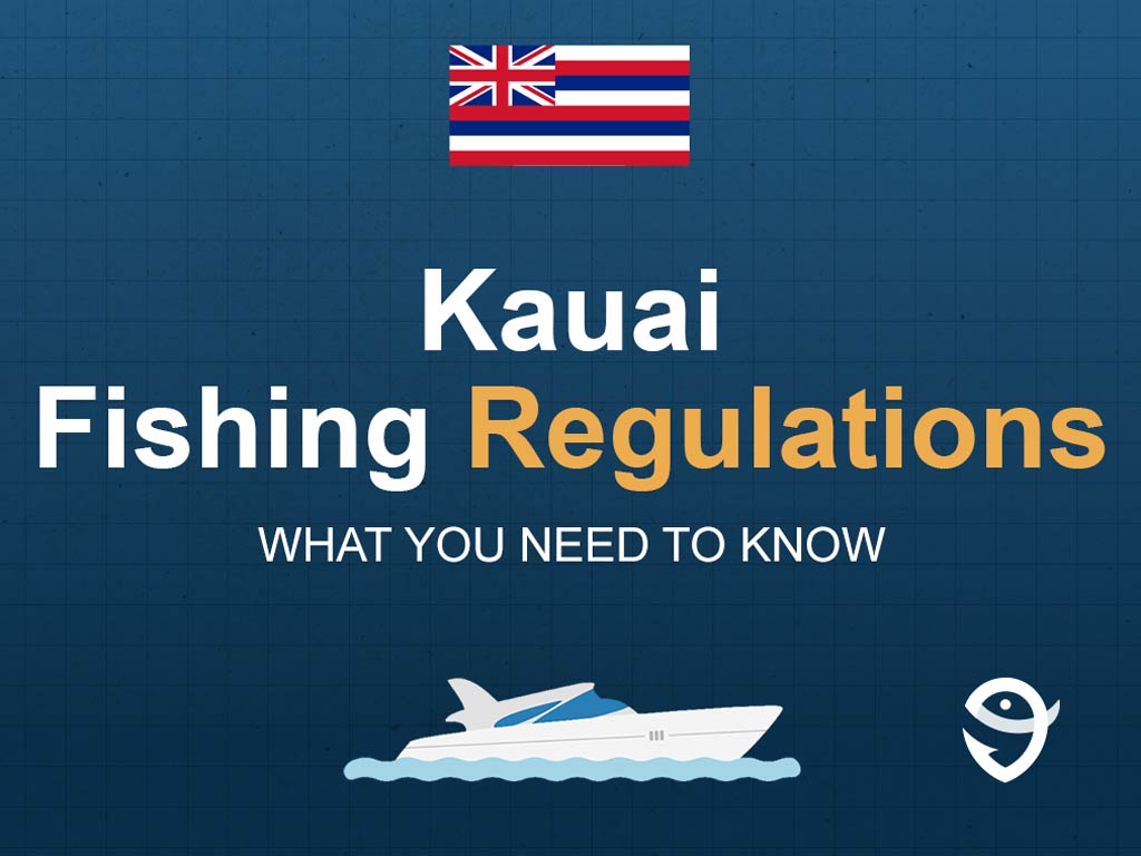 An infographic featuring the flag of Hawaii and text saying "Kauai Fishing Regulations, What You Need to Know" above a vector of a boat against a blue background