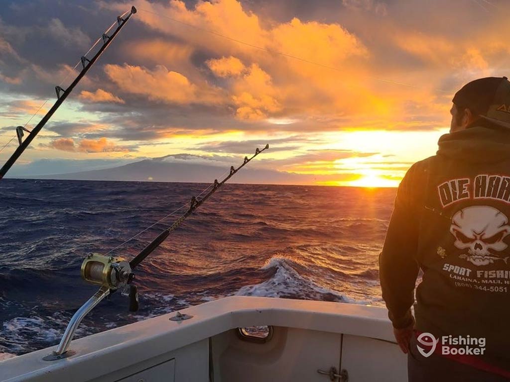 A view from behind of a man in a hoodie looking out of the back of an offshore fishing boat at sunset, with two trolling rods visible on the left of the image.