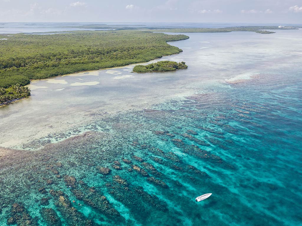 An aerial view of a vibrant coral reef with clear turquoise waters. There's a small boat ready for fly fishing and a lush green island in the background.