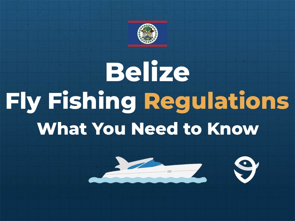 An infographic the flag of Belize above text saying "Belize Fly Fishing Regulations, What You Need to Know" above a vector of a boat and the FishingBooker logo against a blue background