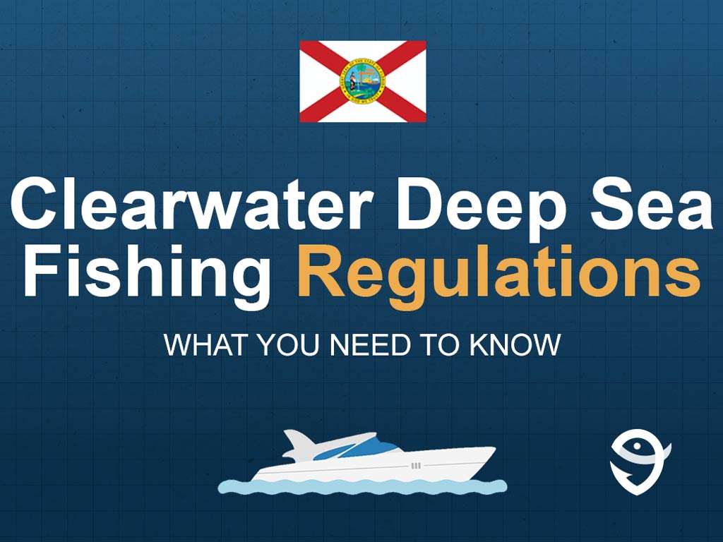 An infographic showing the state flag of Florida along with text that says "Clearwater Deep Sea Fishing Regulations What You Need to Know" against the dark blue background and above a vector of a boat and a FishingBooker logo