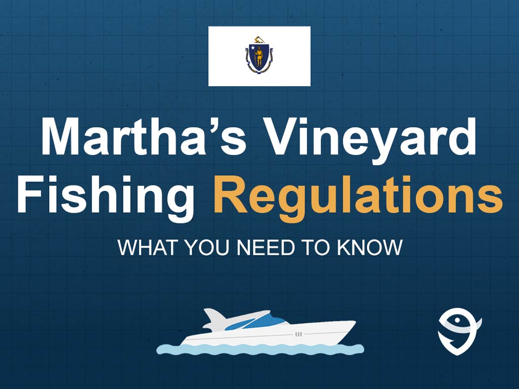 An infographic featuring the flag of Massachusetts with text that says "Martha’s Vineyard Fishing Regulations" with "What you need to know" written right below it.