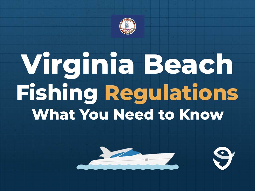An infographic showing the state flag of Virginia along with text that says "Virginia Beach Fishing Regulations What You Need to Know" against the dark blue background and above a vector of a boat and a FishingBooker logo