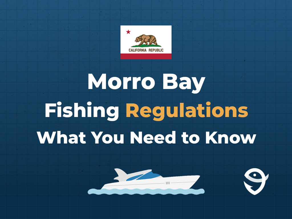 An infographic image that says "Morro Bay fishing regulations" and "What you need to know" against a dark blue background.