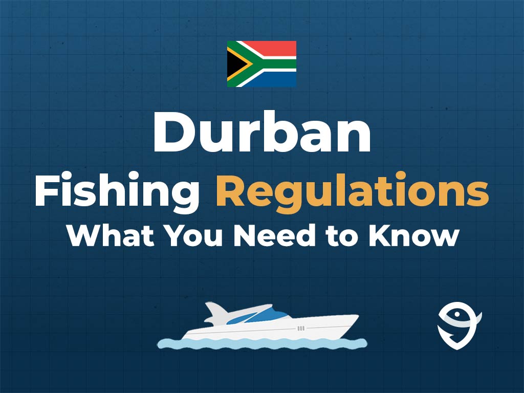 An infographic showing the flag of South Africa and text saying "Durban Fishing Regulations, What You Need to Know" against a blue background
