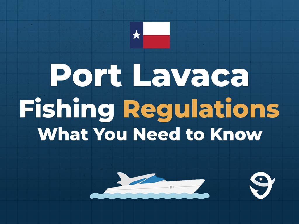An infographic featuring the state flag of Texas along with text that says "Port Lavaca fishing regulations, what you need to know" against a dark blue background
