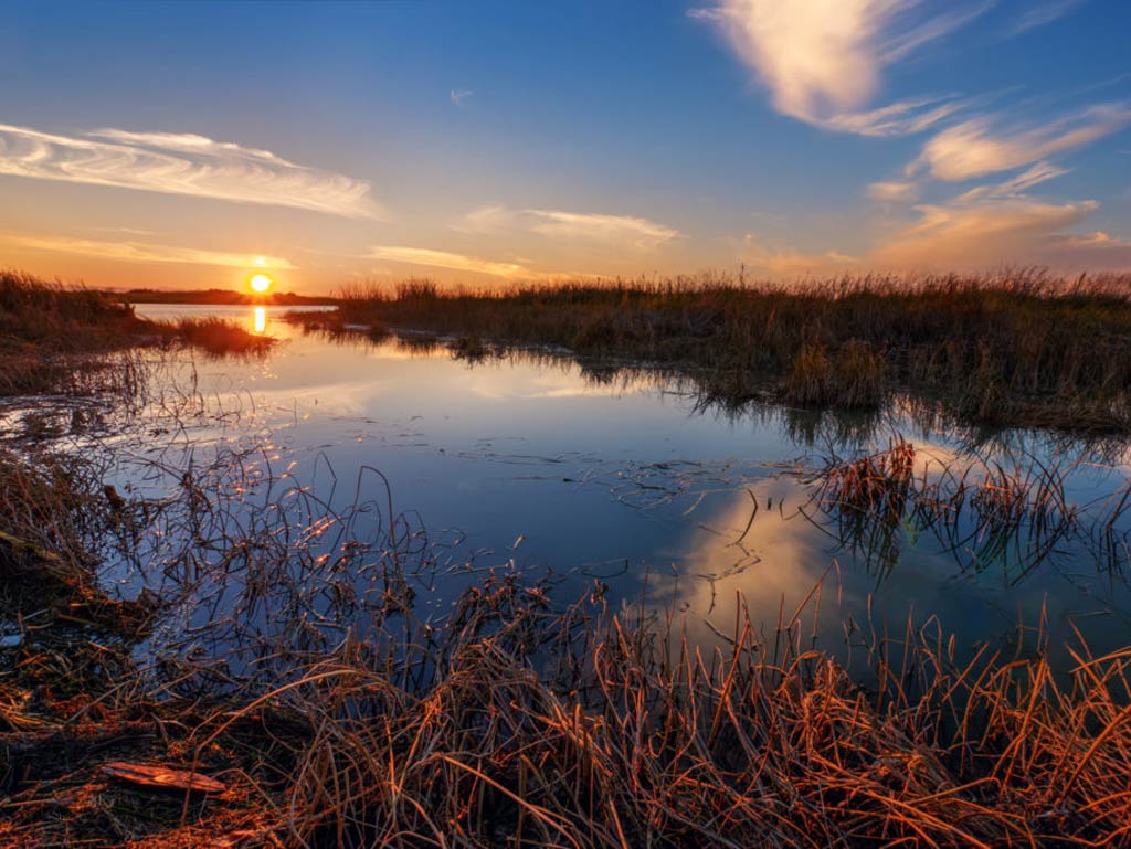 A photo of submerged grass in the placid water somewhere on the Ohio River in Illinois at sunset