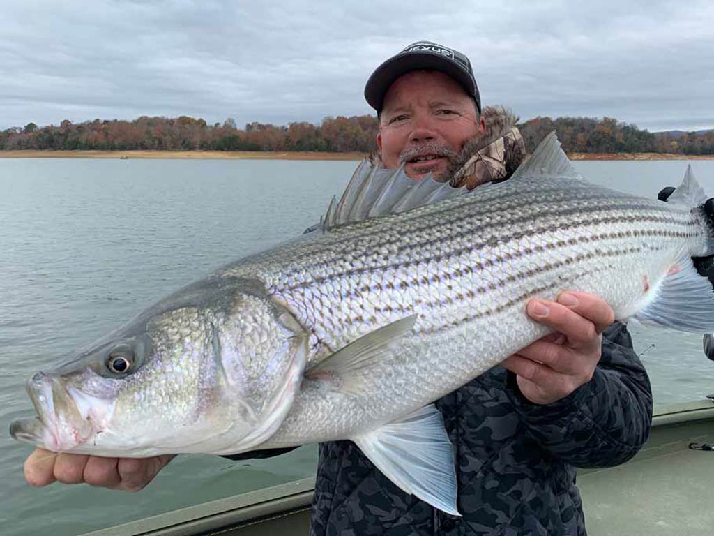 A middle-aged angler holding a big Striped Bass while standing on a boat
