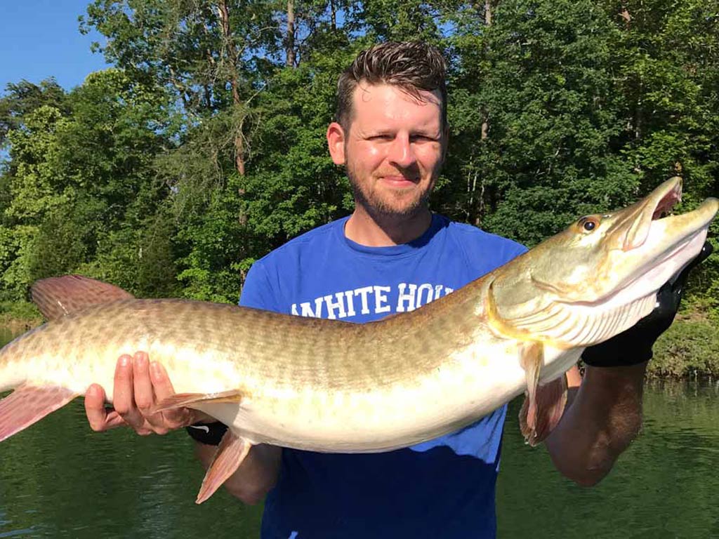 An angler holding a big Musky caught while fishing in Tennessee