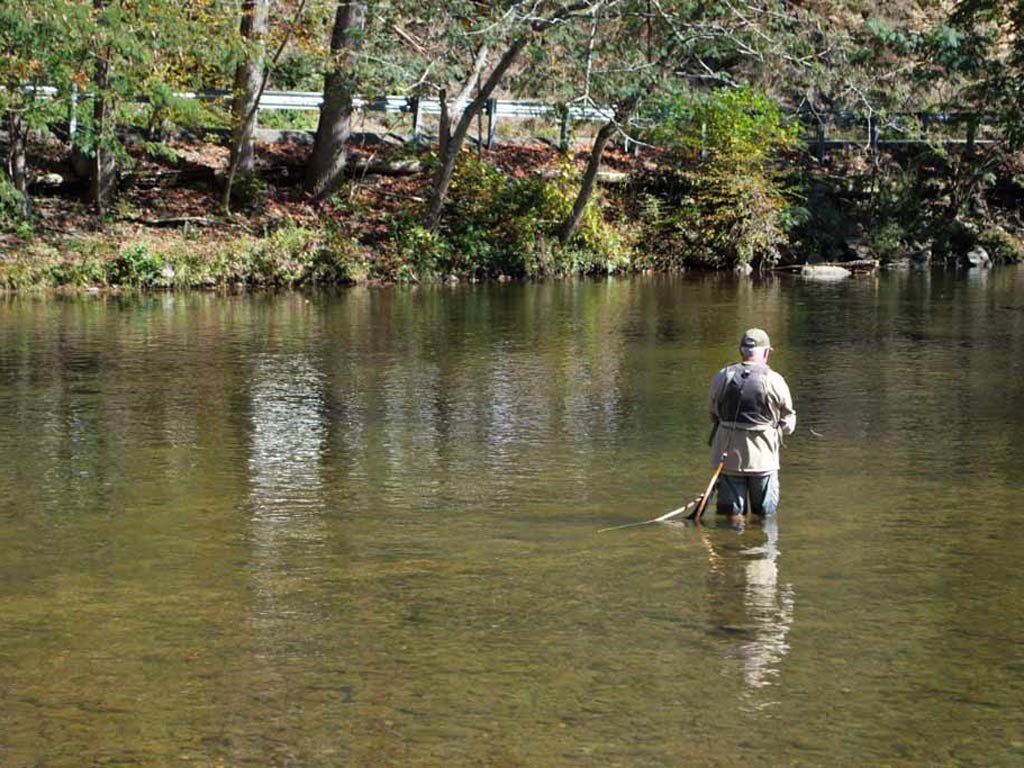 A fly fisherman casting a line in a Tennessee river