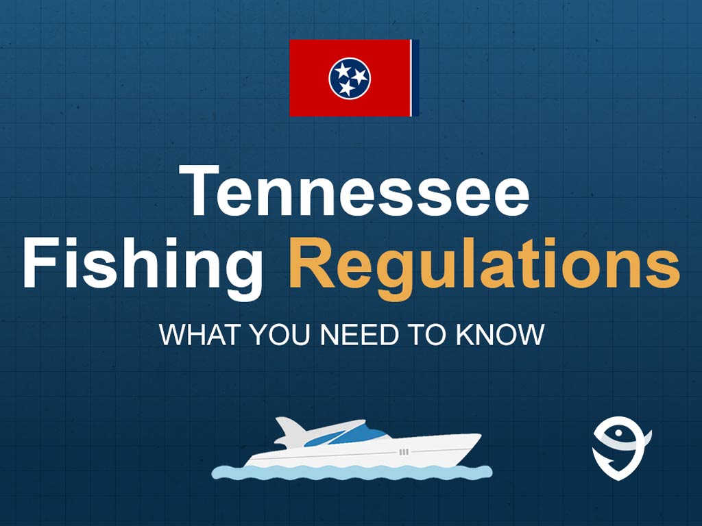An infographic showing the state flag of Tennessee along with text that says "Tennessee Fishing License What You Need to Know" against the dark blue background and above a vector of a boat and a FishingBooker logo