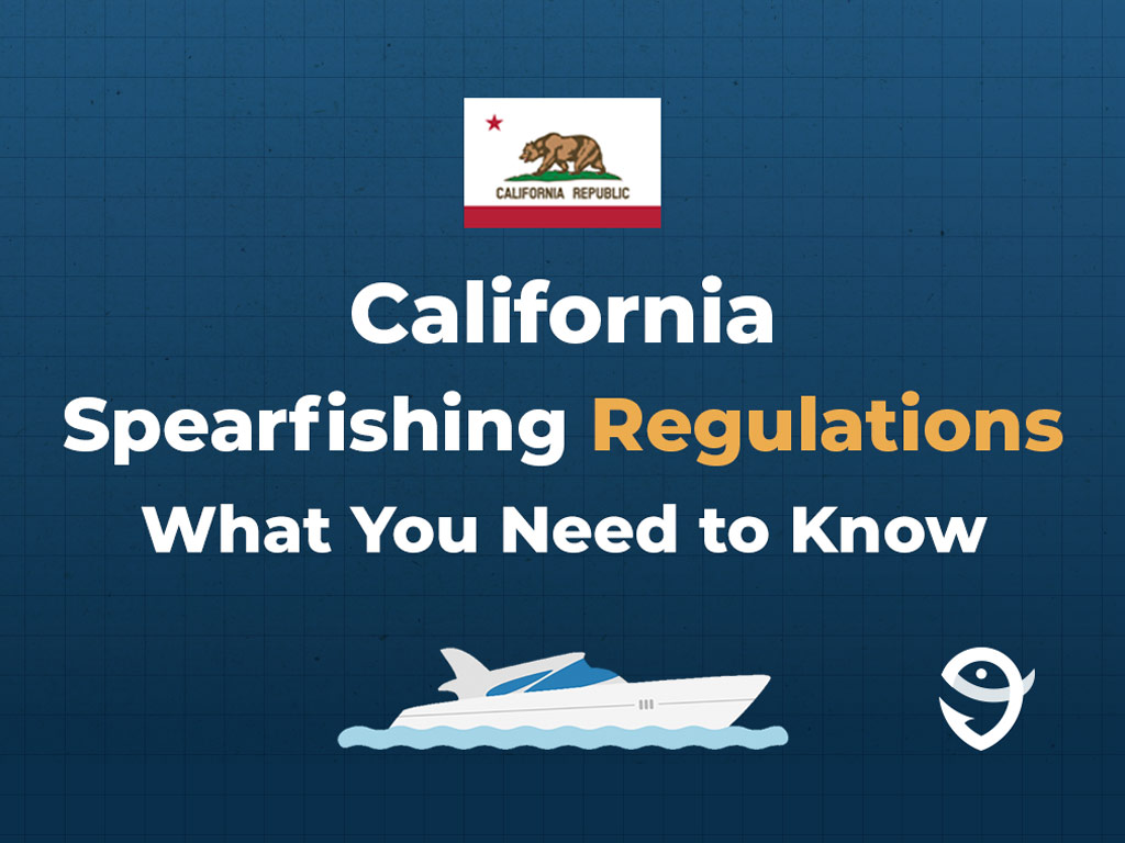 An infographic showing the flag of California along with text that says "California spearfishing regulations, what you need to know" against a dark blue background.