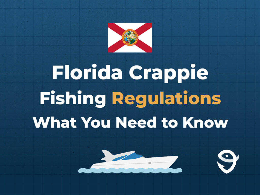 An infographic showing the Florida flag along with text that says "Florida Crappie Fishing Regulations What You Need to Know" against a dark blue background.