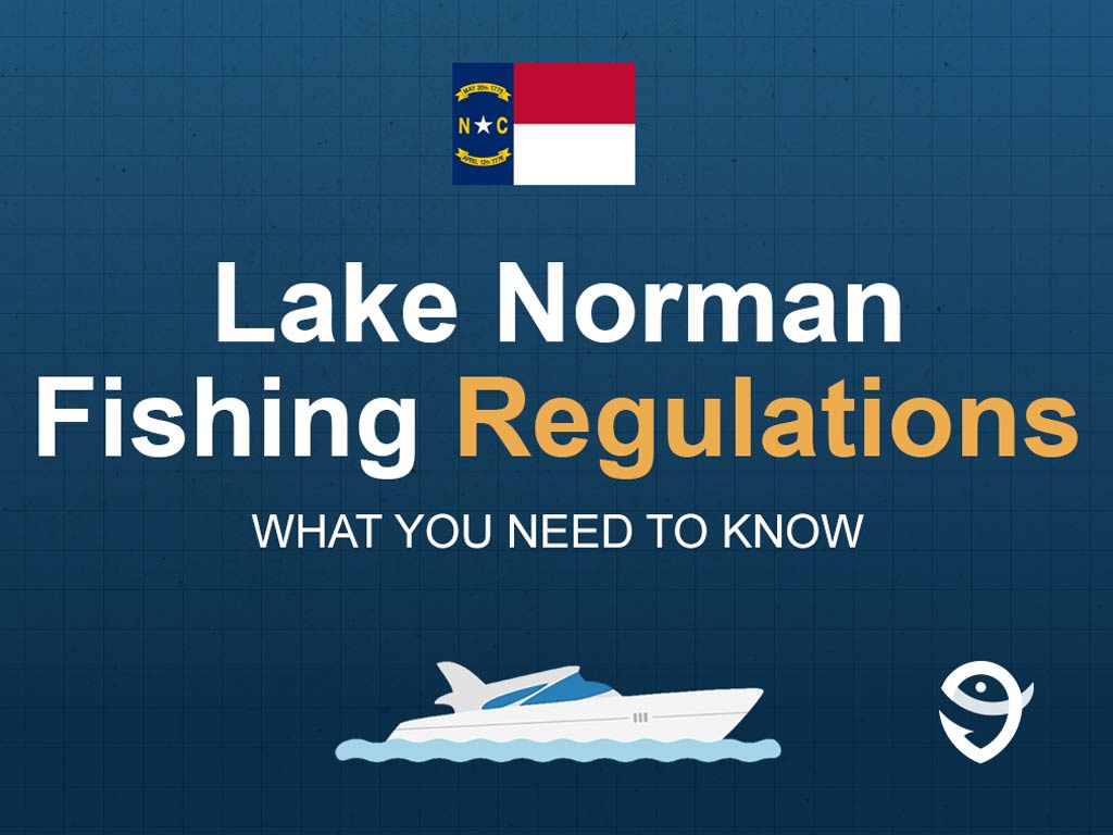 An infographic showing the state flag of North Carolina along with text that says "Lake Norman fishing regulations what you need to know" against a dark blue background.